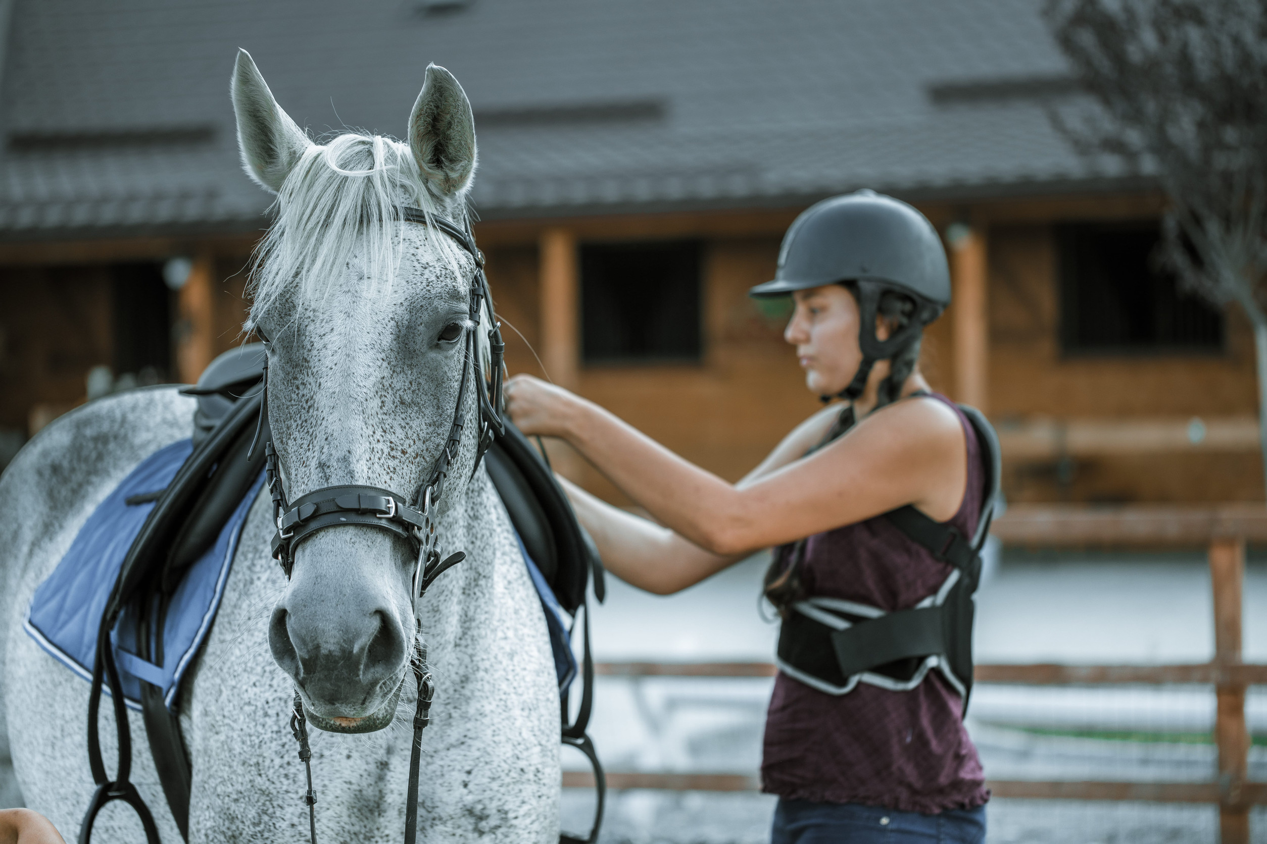 Comment investir dans un cheval de course et en tirer des revenus ?