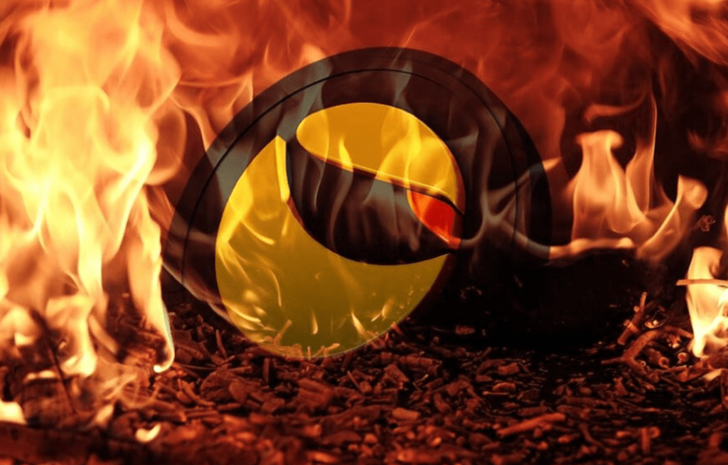 TERRA BURN