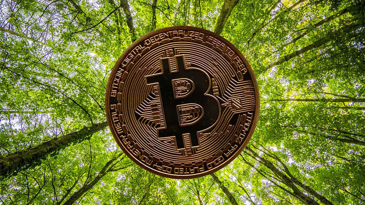 Ca y est ! Le Bitcoin peut enfin contribuer à la protection de notre planète