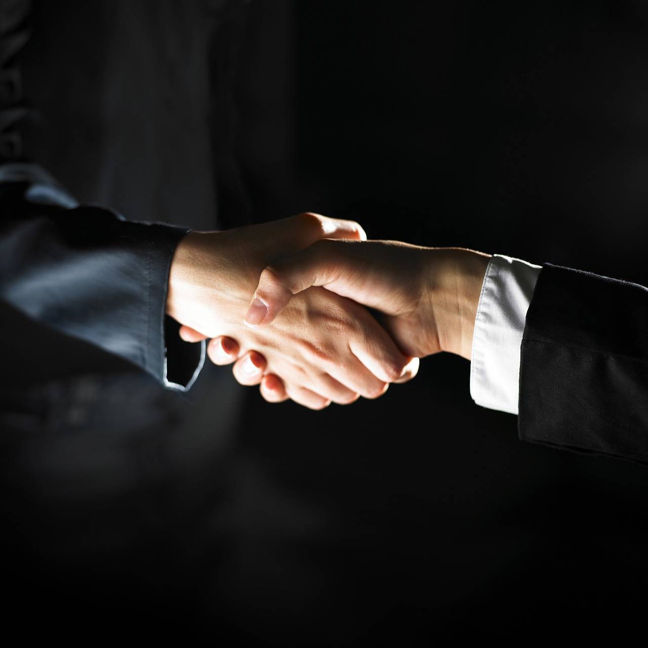 rencontres professionnelles, membres de club d'affaires
