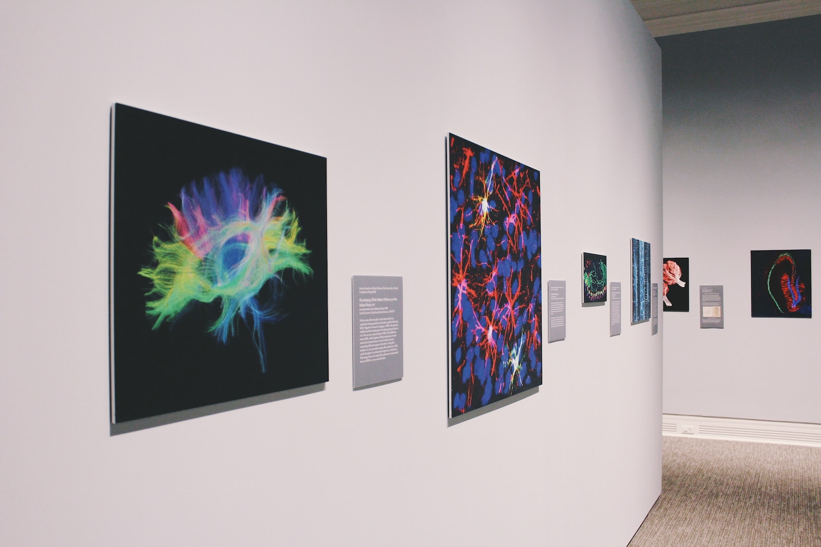 Comment investir dans l’art pour défiscaliser ?