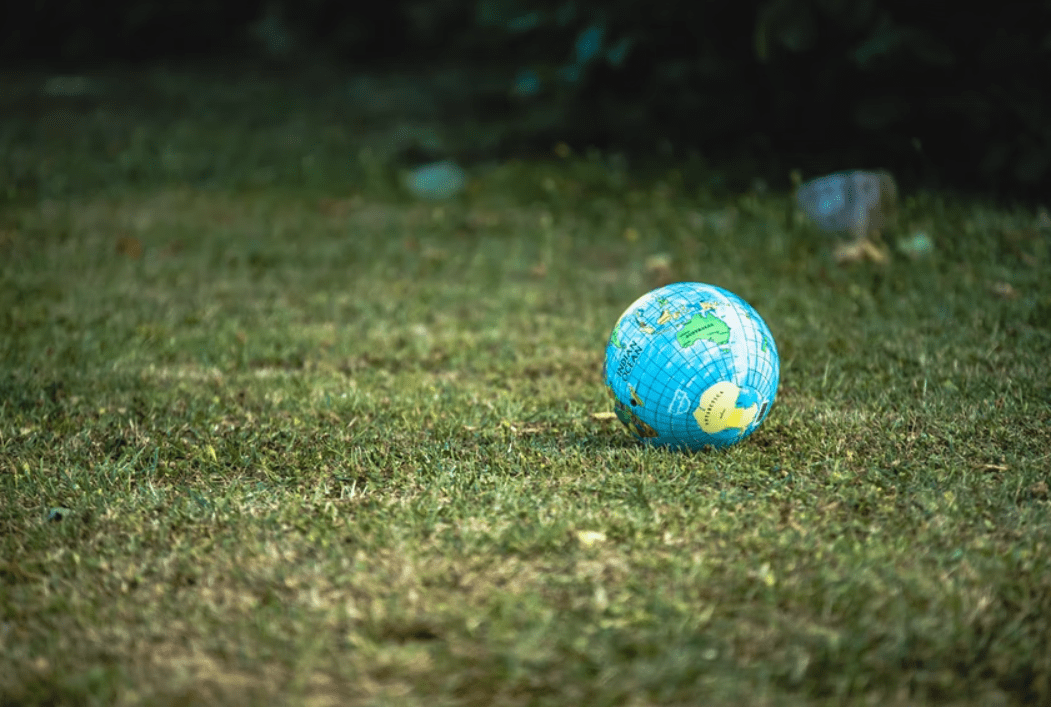 Destruction de l'environnement : et si la technologie blockchain pouvait aider ?