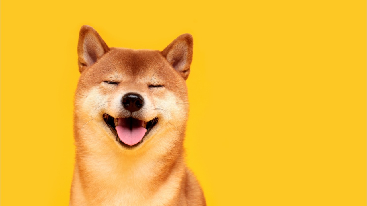 Qu'est ce que le Dogecoin ? 10 questions que l'on se pose sur cette cryptomonnaie