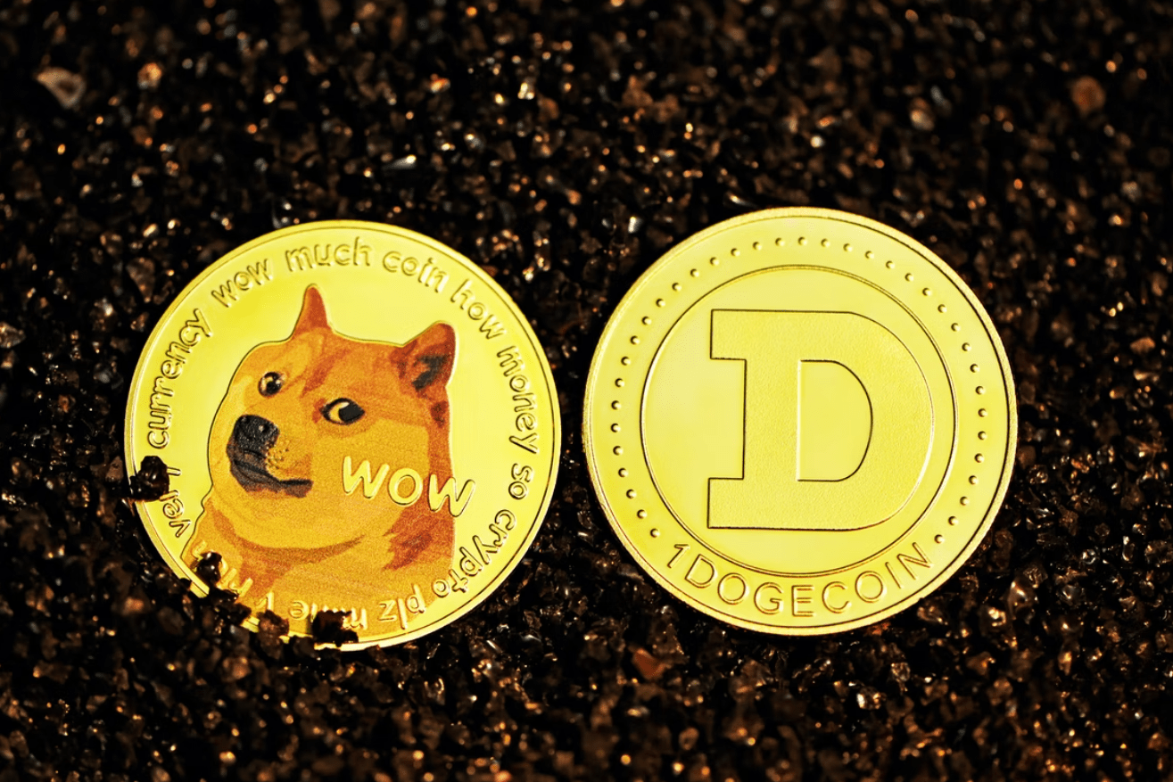 Elon Musk : un fervent défenseur du Dogecoin