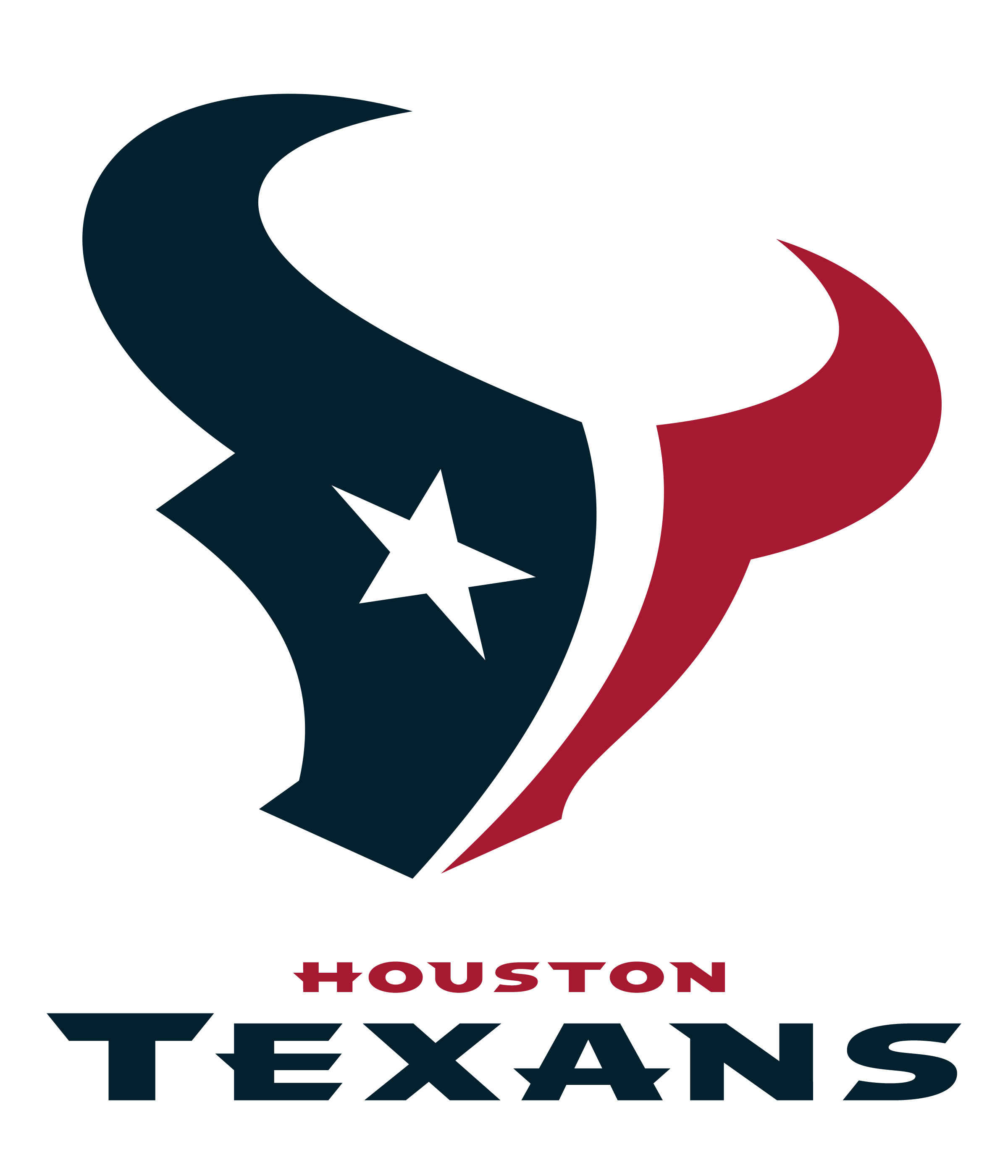 Houston Texans ouvre grand la porte de ses loges via des réservation en crypto