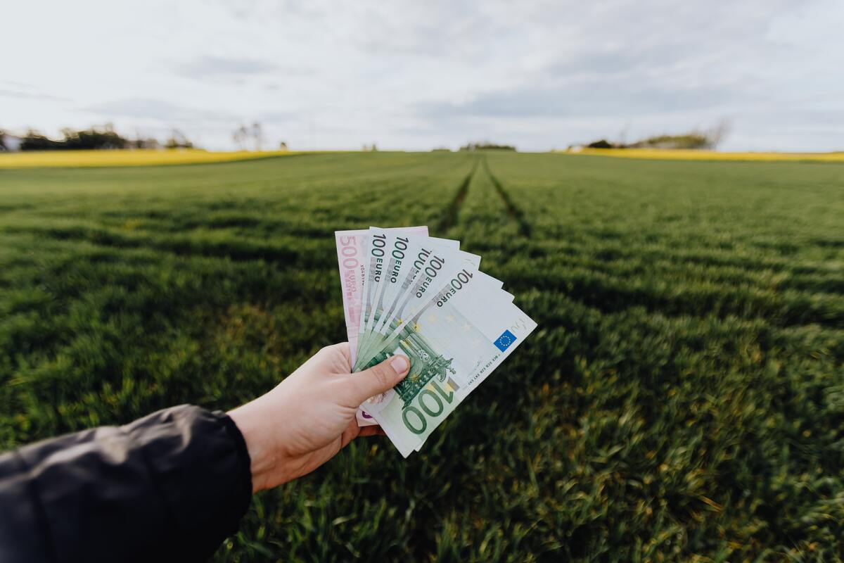 Investir vert : les bons plans