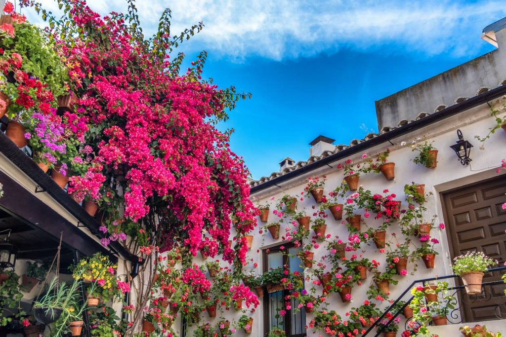 Maison en Espagne