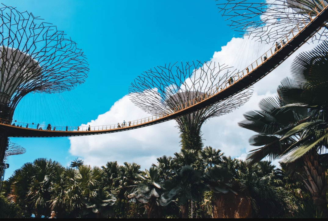 Investisseurs crypto à Singapour : un grand mur de pierre se dresse contre eux
