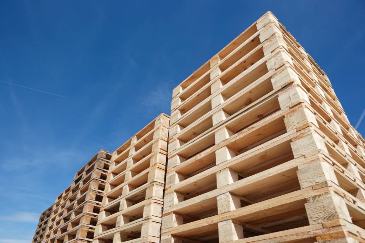Logistique : comment bien choisir vos palettes ?