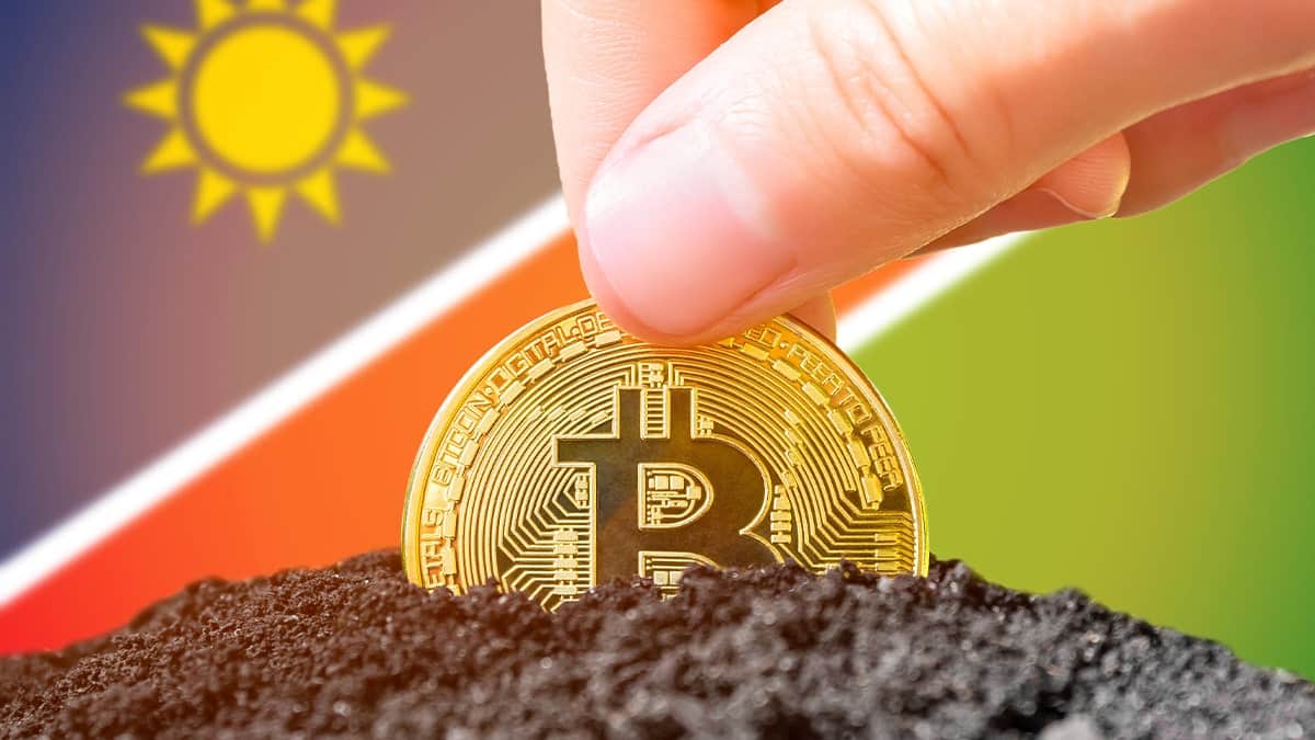 Namibie est dans la place ! La Banque centrale du pays approuve les paiements en crypto !