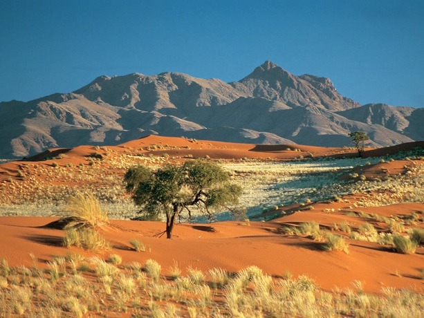 La position de la banque centrale namibienne face aux cryptomonnaies