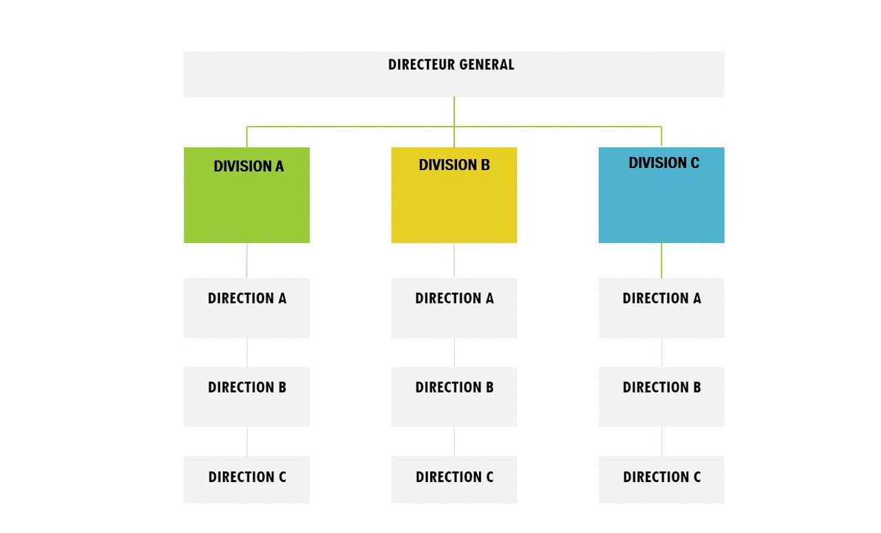 Modèle d'organigramme divisionnel.