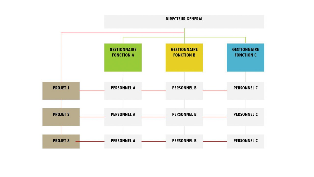 Comment créer un organigramme d’entreprise ?
