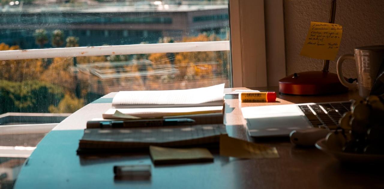 Pourquoi choisir la SAS plutôt qu'un autre statut pour votre activité professionnelle ?