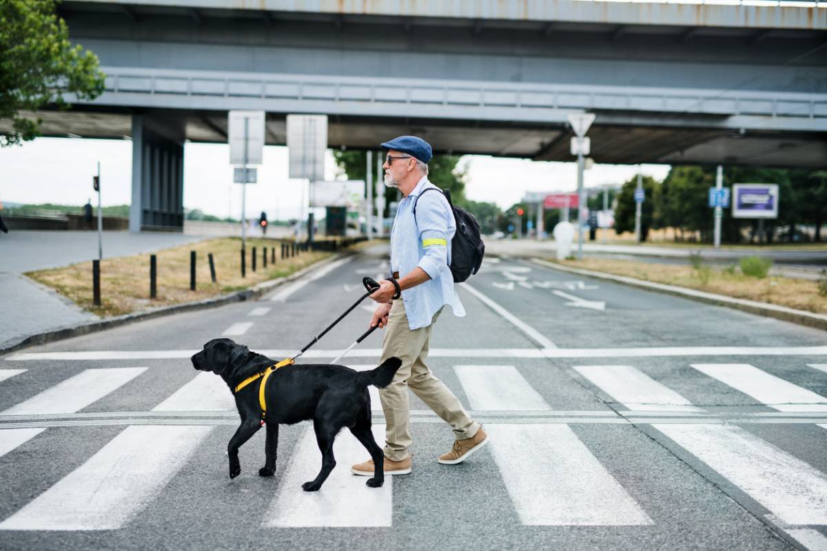 Quels sont les équipements urbains utiles pour les malvoyants ?