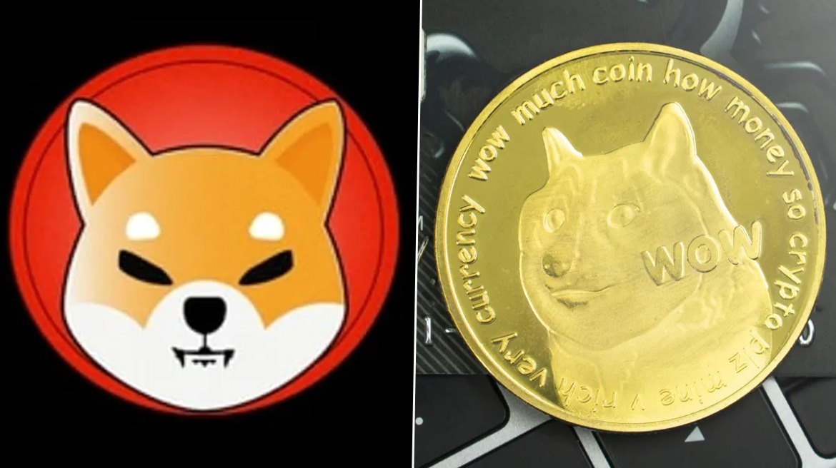 Shiba Inu Vs Dogecoin, le match (été 2022) !